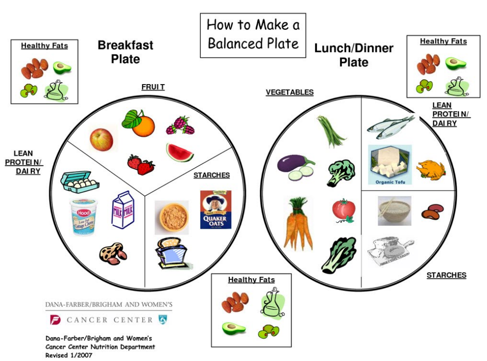 Noom Diet Plan Review Readsover